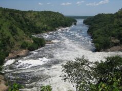 Tourists are Returning to Uganda’s Historic Murchison Falls Game Park Murchison Falls